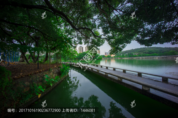 惠州西湖鐵陵橋