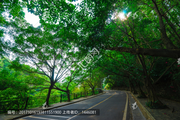 惠州紅花湖綠道