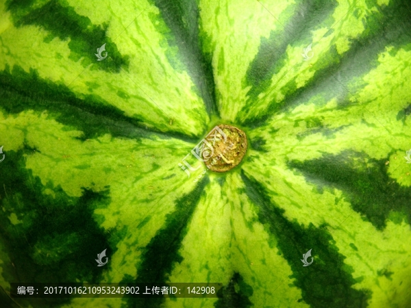 抽象圖案西瓜皮