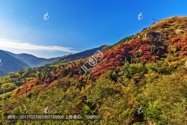 山中紅葉
