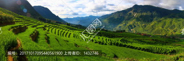 梯田