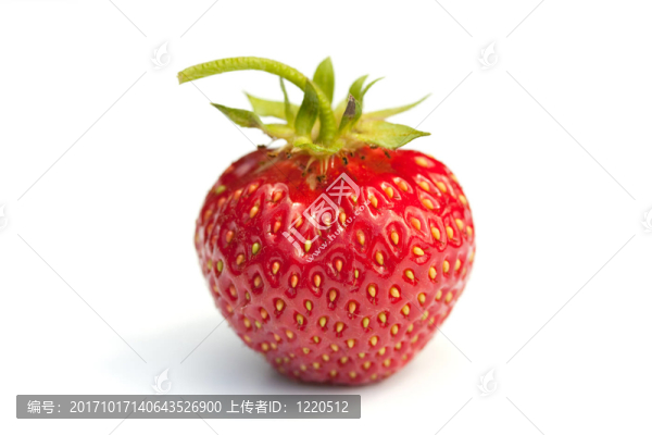 草莓