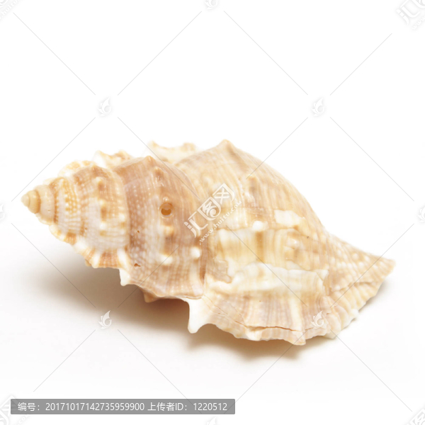 沙灘