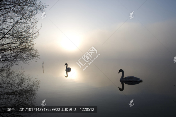 沉默