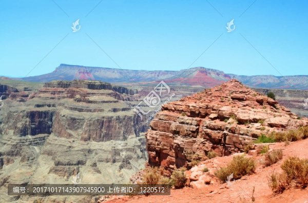 山