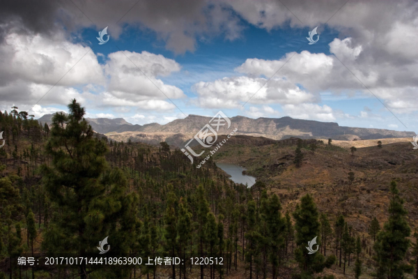 大加那利島高原