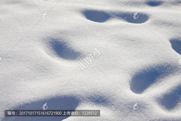 雪地足跡