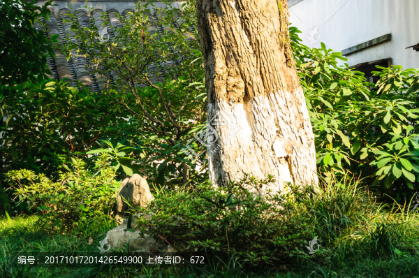 園林景觀