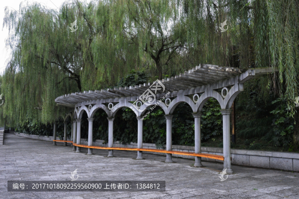 公園,柳條,柳樹,長滿藤子的石