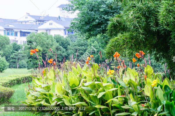 鹽瀆公園景觀