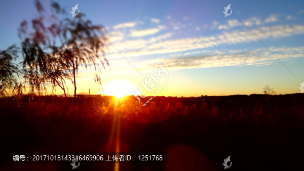 夕陽(yáng)