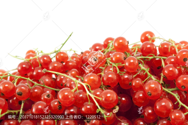食品