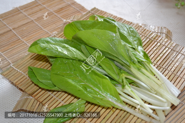 小白菜