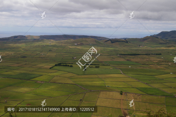 特塞拉島