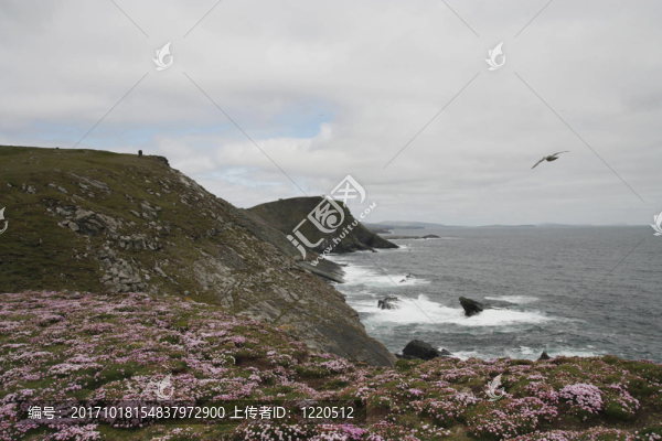 薩姆堡頭設得蘭群島