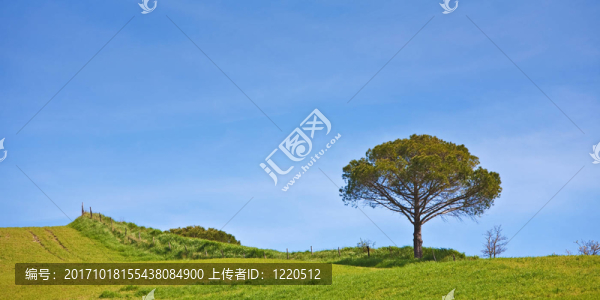 托斯卡納景觀