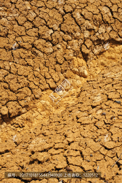 dirt