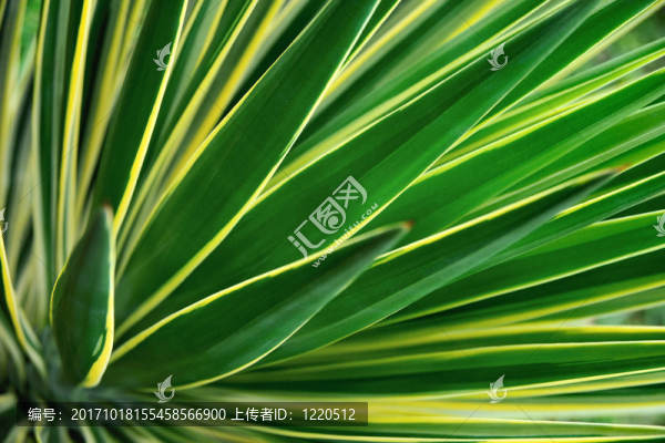 詳細(xì)摘要