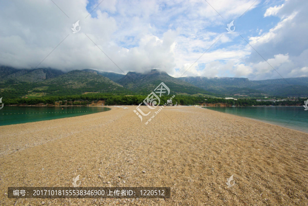 金角-金海角31號(hào)