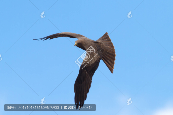 非洲