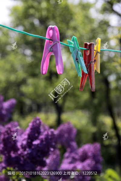 花園