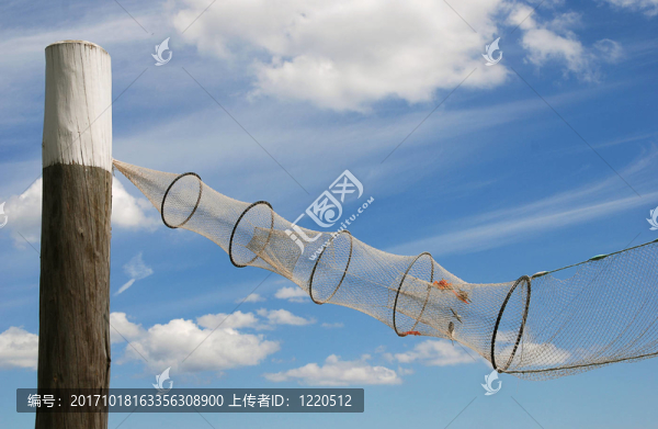 用漁網(wǎng)dalbe