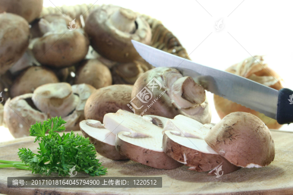 蘑菇