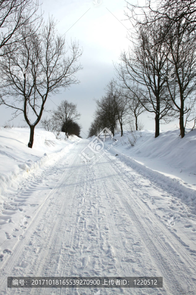 winter