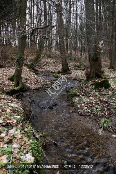 waldbach
