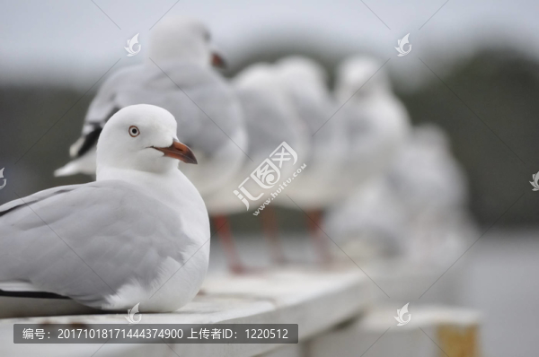 業(yè)余時(shí)間
