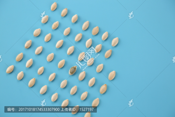 南瓜子炒貨零食攝影瓜子