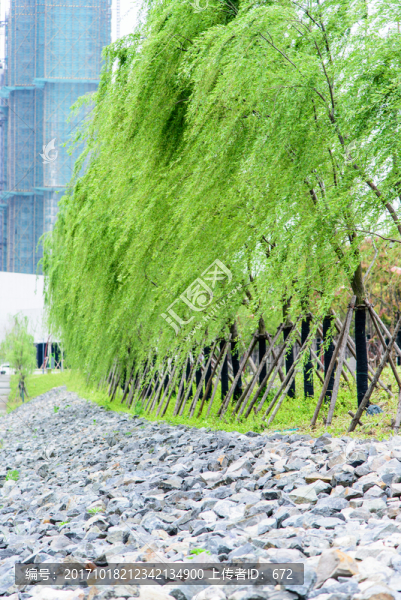 青奧文化體育公園景觀