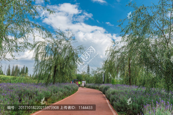 公園園林