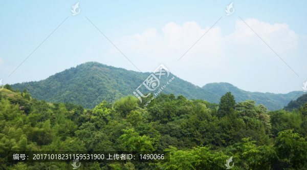 茂密的樹林和遠(yuǎn)山風(fēng)景