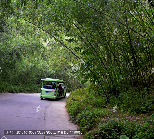 穿行在竹林中的觀光車