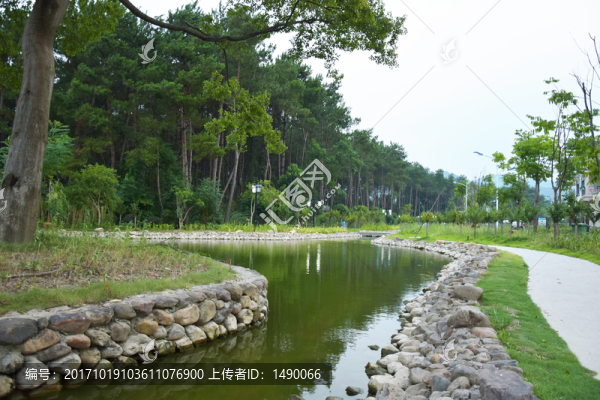 綠色的樹林和人工河