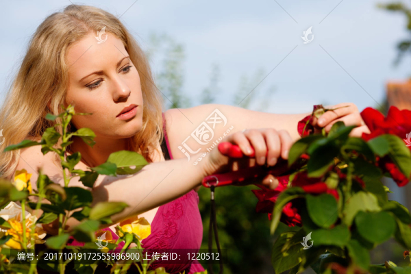 女人