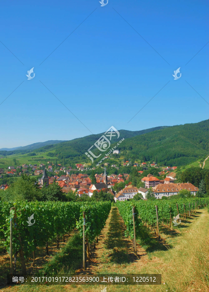 weindorf希波維爾阿爾薩斯