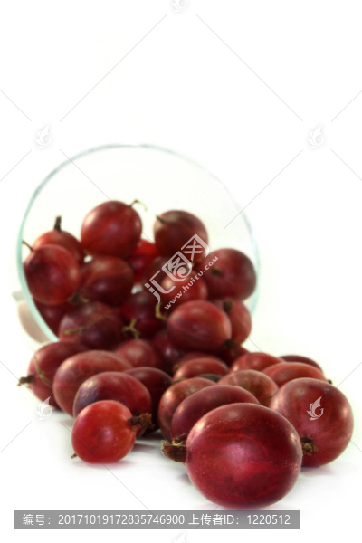 生素食食品