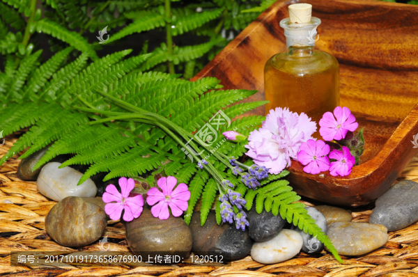 薰衣草花瓣的石頭