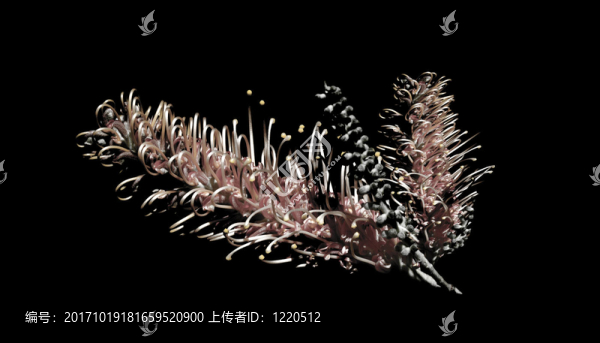 花卉