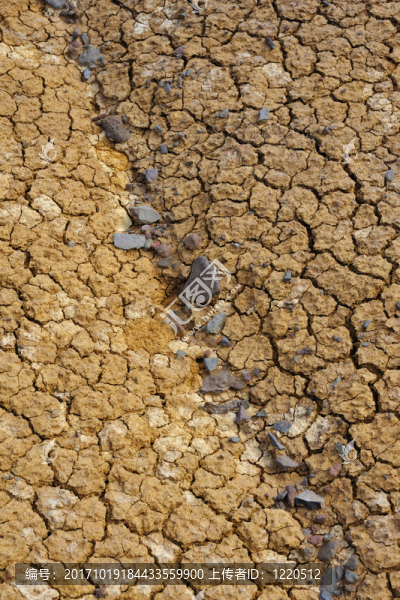 dirt