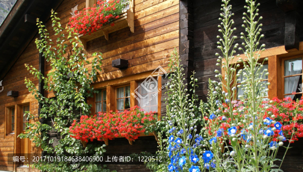 blumenhaus