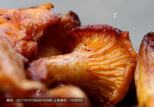 炒雞油菌