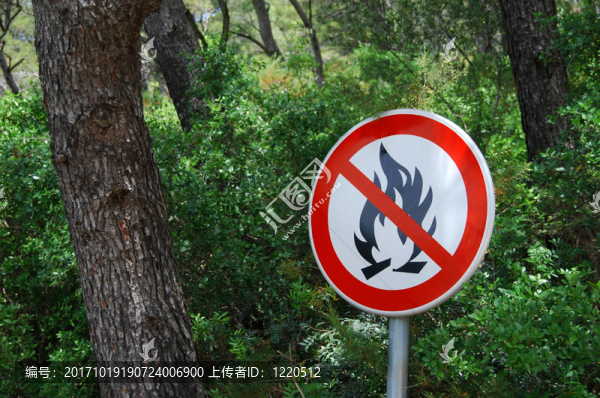 森林火災(zāi)的危害
