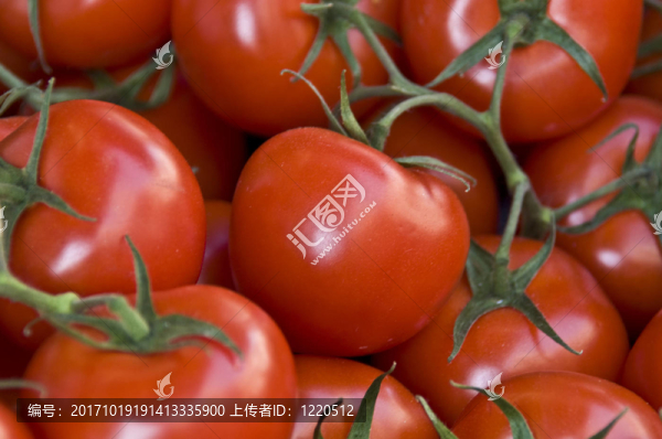 食品