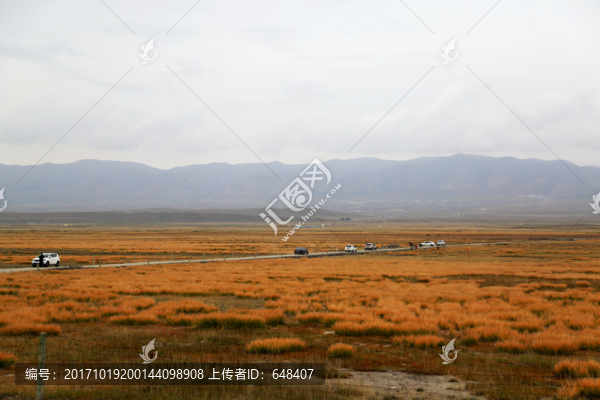 草原,草地,牧場(chǎng),遠(yuǎn)山,高原