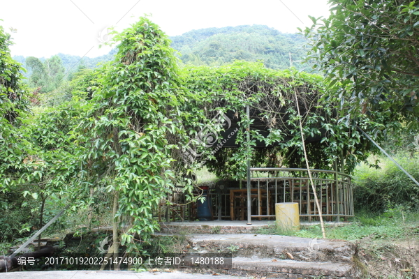 野外餐廳