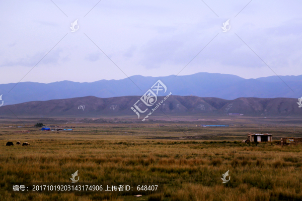草原,草地,牧場,遠山,高原