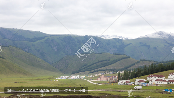 新疆地貌,新疆草原,野外放牧